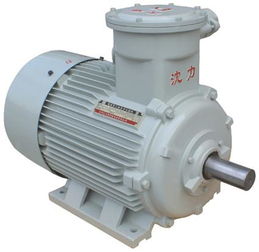 防爆5.5kW高壓風機 原理、應用與選型指南